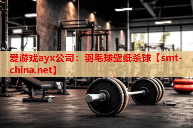 爱游戏ayx公司：羽毛球壁纸杀球