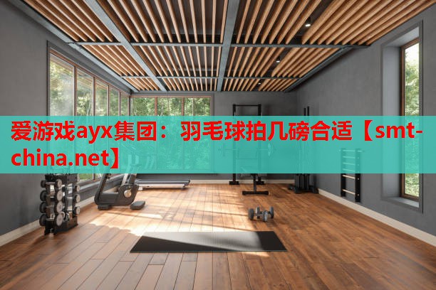 爱游戏ayx集团：羽毛球拍几磅合适