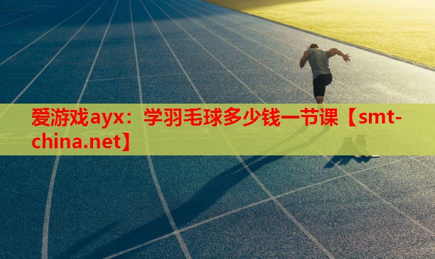 爱游戏ayx：学羽毛球多少钱一节课