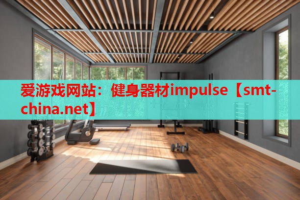 健身器材impulse